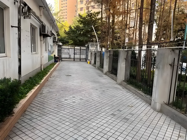 术缚天下